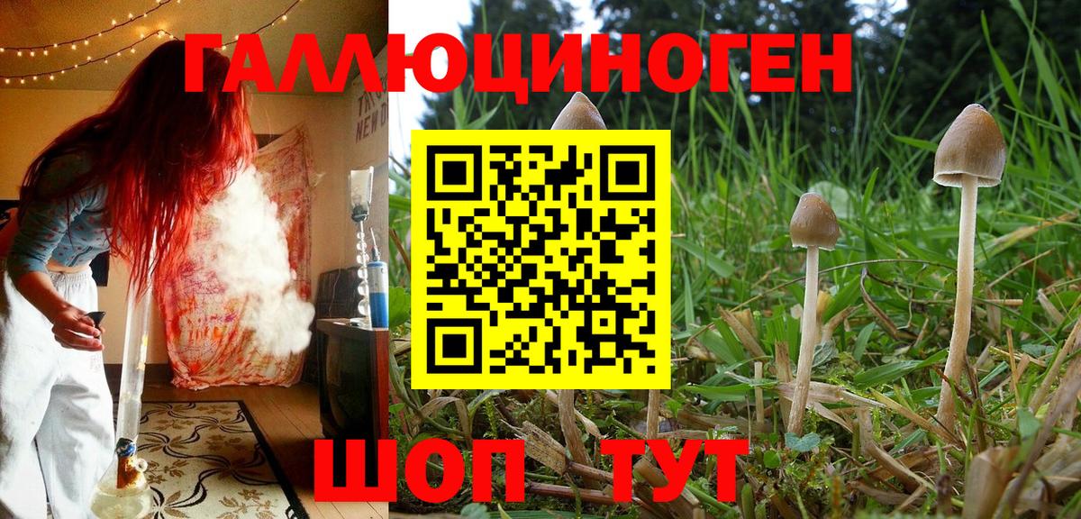 Кимовск  Галлюциногенные грибы ЛСД  Галлюциногенные грибы GOLDEN TEACHER  Вход с VPN 